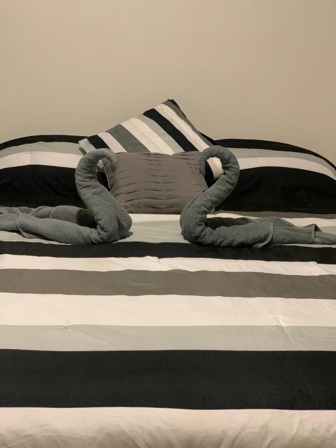 Hermoso Departamento En Coyoacan Appartement